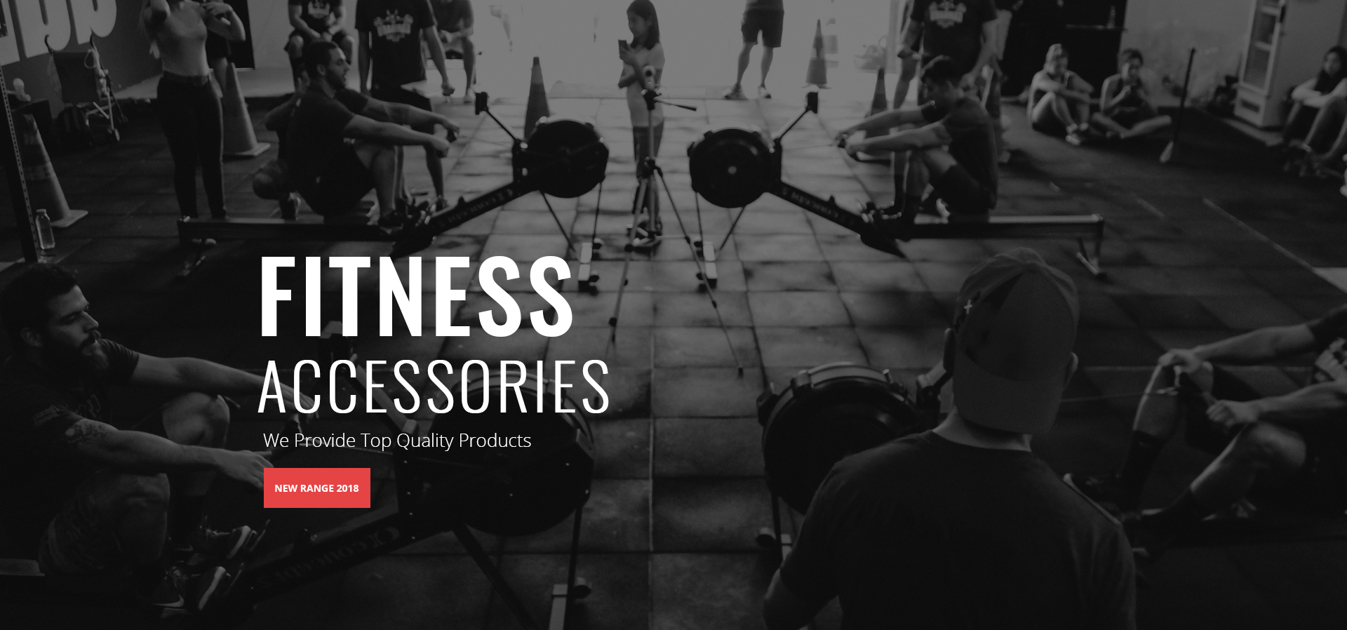 Fitness Accessories